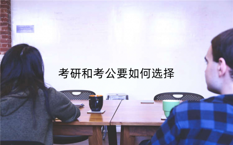 考研和考公要如何选择