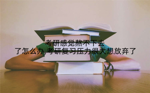 考研感觉熬不下去了怎么办,考研复习压力很大想放弃了
