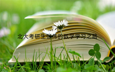 北大考研生张伟的数学学习之路