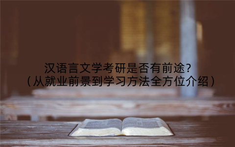 汉语言文学考研是否有前途?(从就业前景到学习方法全方位介绍)