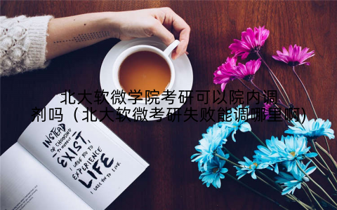 北大软微学院考研可以院内调剂吗（北大软微考研失败能调哪里啊)