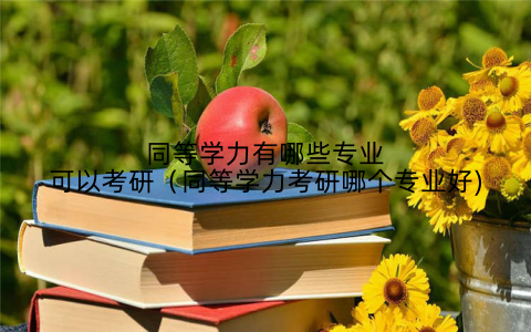 同等学力有哪些专业可以考研(同等学力考研哪个专业好)