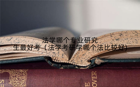 法学哪个专业研究生最好考（法学考研学哪个法比较好)