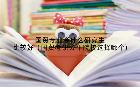 国贸专业考什么研究生比较好(国贸考研公平院校选择哪个)