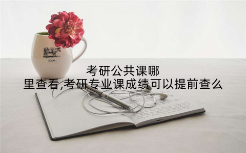 考研公共课哪里查看,考研专业课成绩可以提前查么