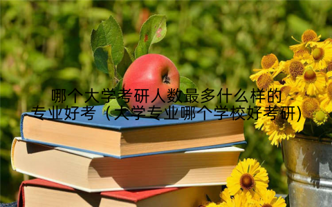 哪个大学考研人数最多什么样的专业好考（大学专业哪个学校好考研)