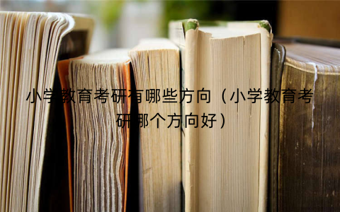 小学教育考研有哪些方向(小学教育考研哪个方向好)
