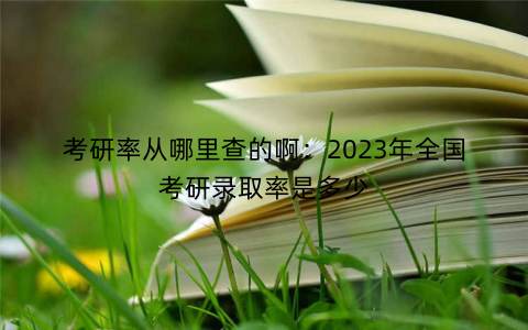 考研率从哪里查的啊:2023年全国考研录取率是多少