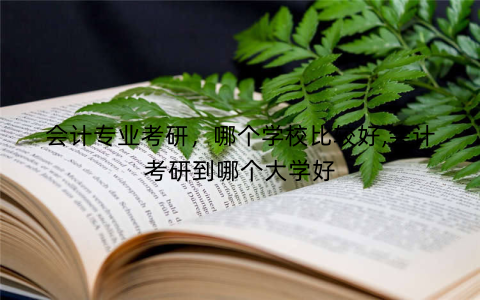 会计专业考研,哪个学校比较好,会计考研到哪个大学好