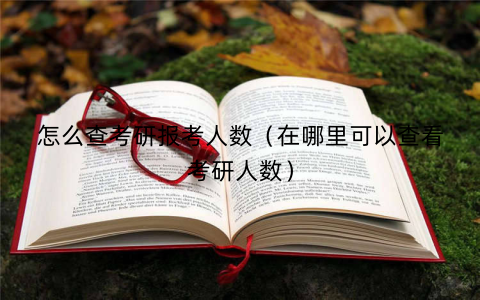 怎么查考研报考人数(在哪里可以查看考研人数)