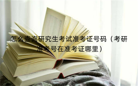 怎么查询研究生考试准考证号码（考研准考号在准考证哪里）
