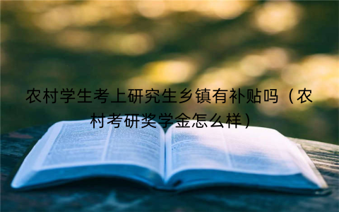 农村学生考上研究生乡镇有补贴吗(农村考研奖学金怎么样)