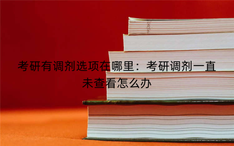 考研有调剂选项在哪里:考研调剂一直未查看怎么办