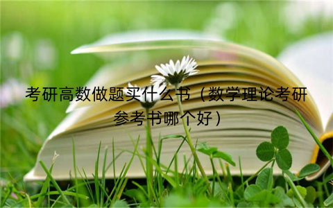 考研高数做题买什么书(数学理论考研参考书哪个好)