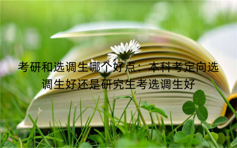 考研和选调生哪个好点:本科考定向选调生好还是研究生考选调生好