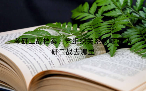 考研二战档案、党组织关系放哪里,考研二战去哪里