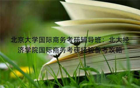 北京大学国际商务考研辅导班：北大经济学院国际商务考研经验备考攻略