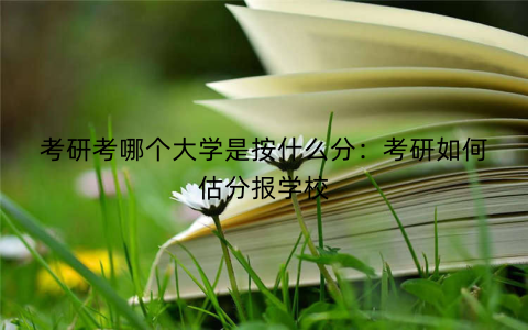 考研考哪个大学是按什么分:考研如何估分报学校