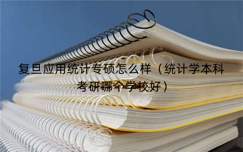 复旦应用统计专硕怎么样(统计学本科考研哪个学校好)