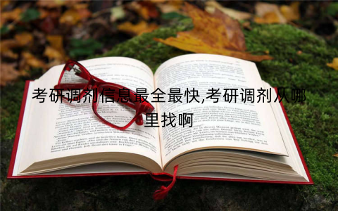 考研调剂信息最全最快,考研调剂从哪里找啊