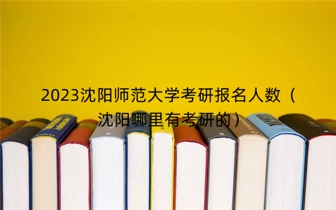 2023沈阳师范大学考研报名人数(沈阳哪里有考研的)
