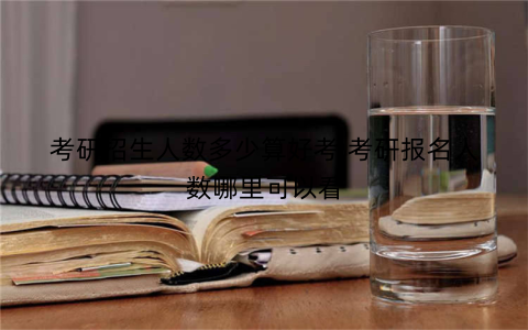 考研招生人数多少算好考,考研报名人数哪里可以看