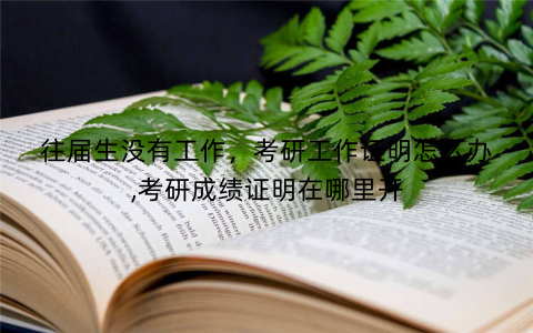 往届生没有工作，考研工作证明怎么办,考研成绩证明在哪里开