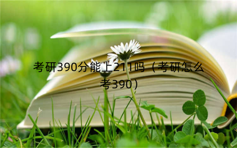 考研390分能上211吗(考研怎么考390)